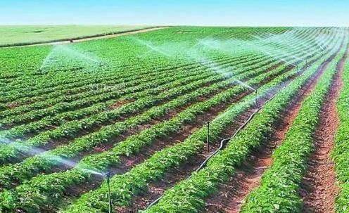 干叉叉在线观看农田高 效节水灌溉